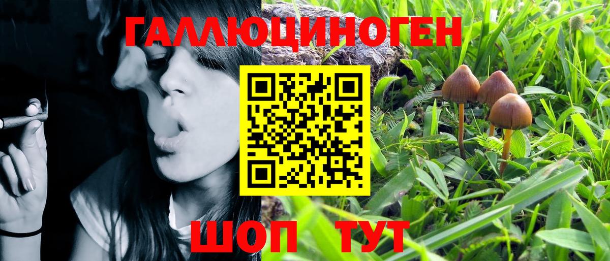 Галлюциногенные грибы Magic Shrooms Магнитогорск